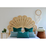 Flavia pampas